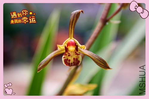 ��Ƭ 150_������3.jpg