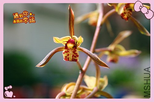 ��Ƭ 151_������4.jpg