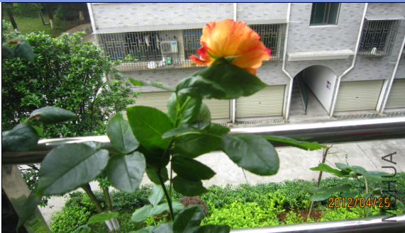 QQ��ͼ20120429203956.png