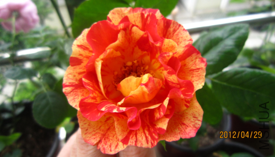 QQ��ͼ20120429204048.png
