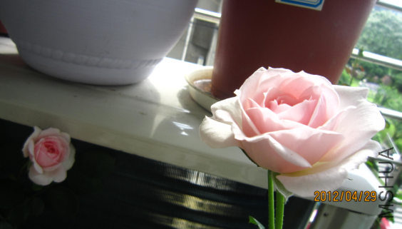 QQ��ͼ20120429201832.png