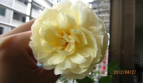 QQ��ͼ20120429210350.png