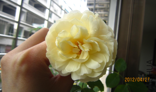 QQ��ͼ20120429210416.png