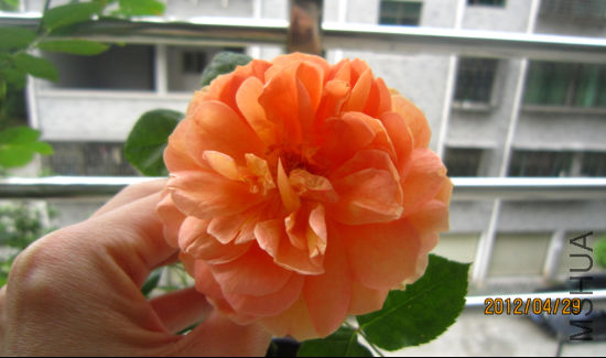 QQ��ͼ20120429210428.png