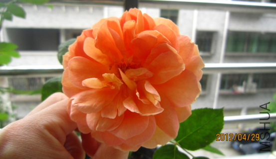 QQ��ͼ20120429210442.png