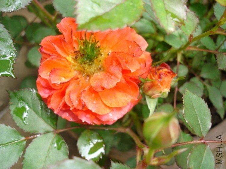 δ������ ��.jpg