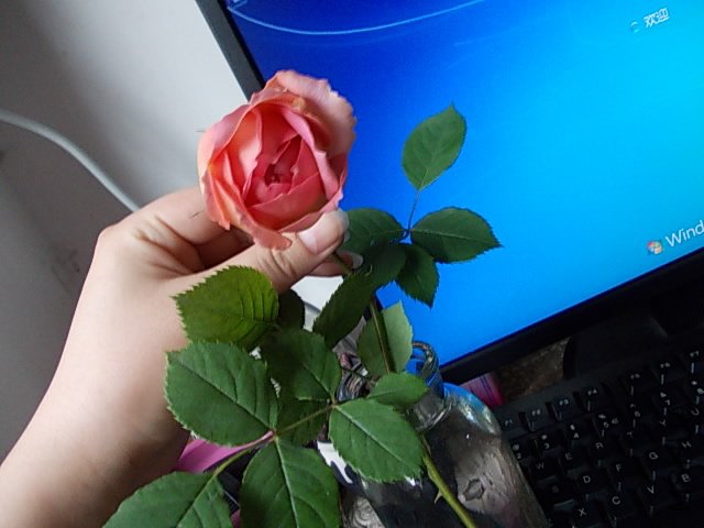 DSCN0203.JPG