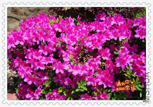 ��Ƭ 054_ë3.jpg