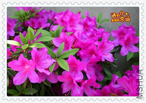 ��Ƭ 051_��ë4.jpg