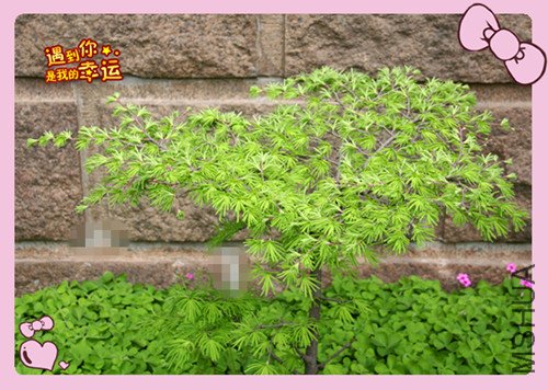 ��Ƭ 121_������.jpg