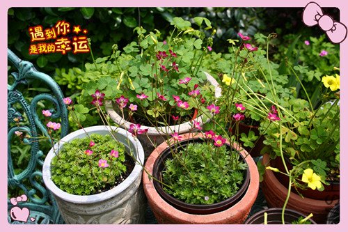 ��Ƭ 238_������1.jpg