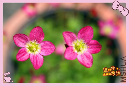 ��Ƭ 242_���� ��2.jpg