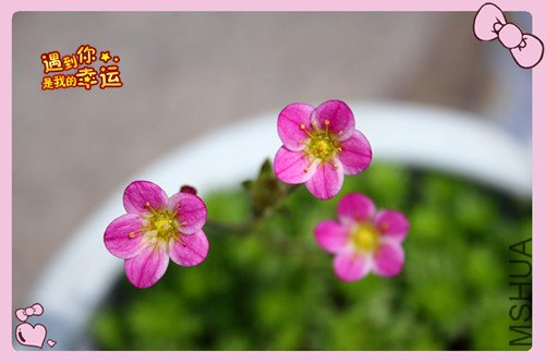 ��Ƭ 246_������3.jpg