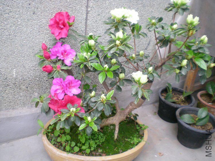DSCN4519.JPG