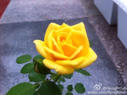 4ab89029jw1dsavf4z7f8j.jpg