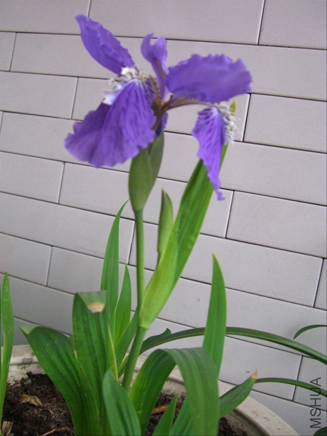 CIMG7456_����.jpg