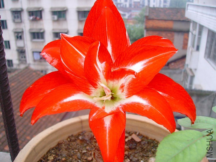 SANY0118.JPG