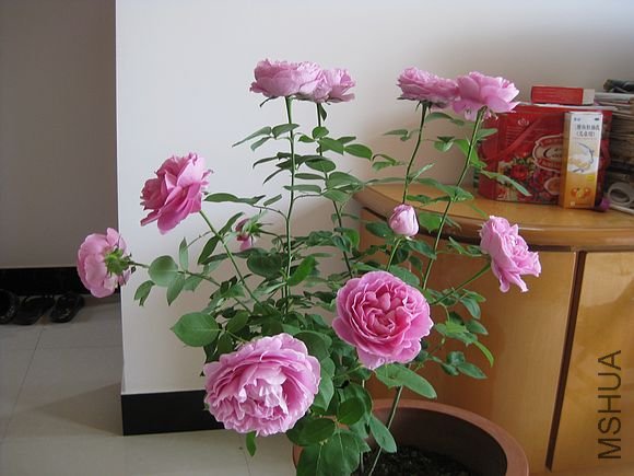 �¼��� 248.jpg