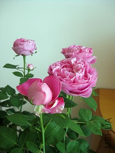�¼��� 215.jpg