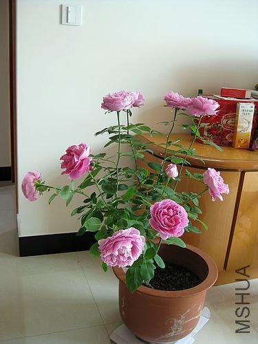 �¼��� 246.jpg