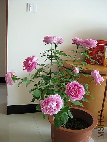 �¼��� 247.jpg