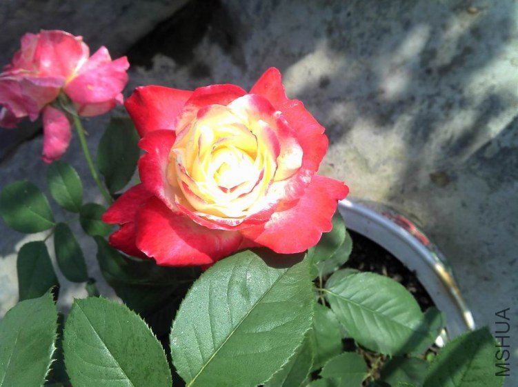 2012-04-22_08-18-28_546.jpg