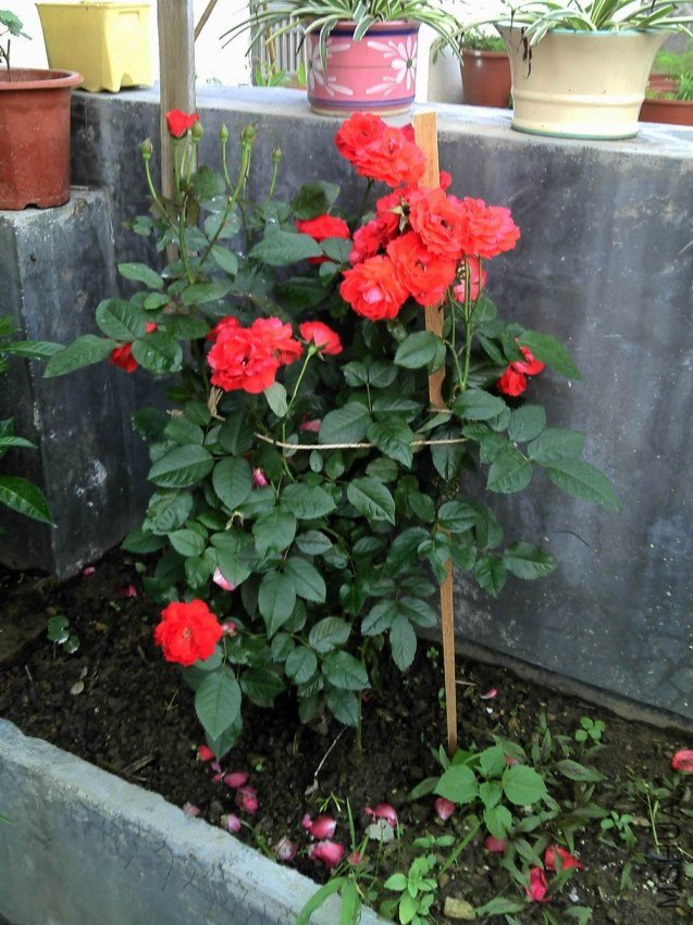 2012-04-30_18-15-22_88.jpg