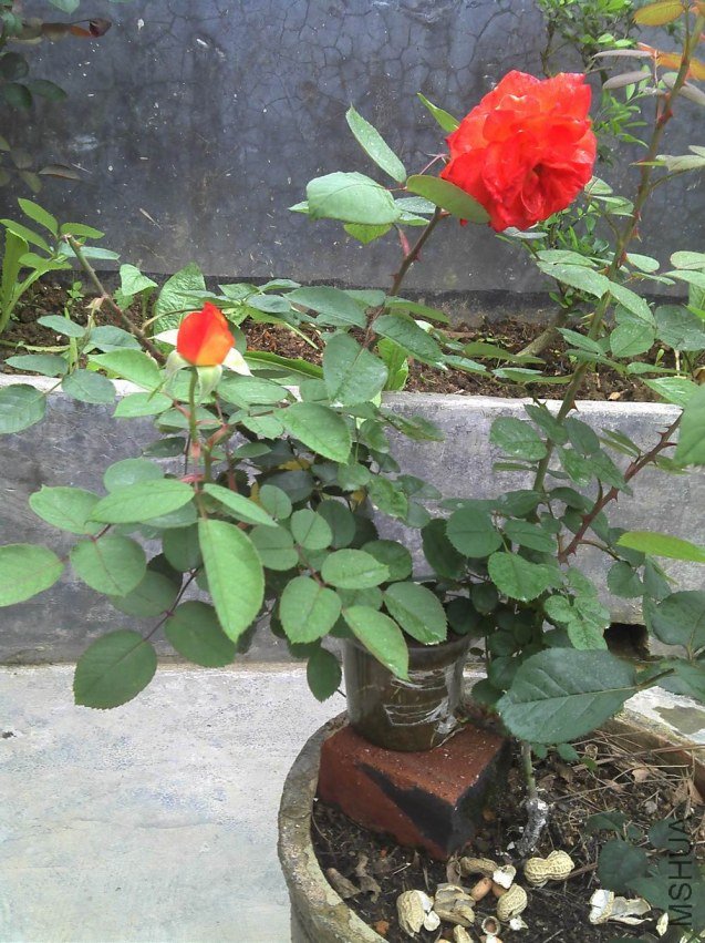 2012-04-14_07-04-29_531.jpg