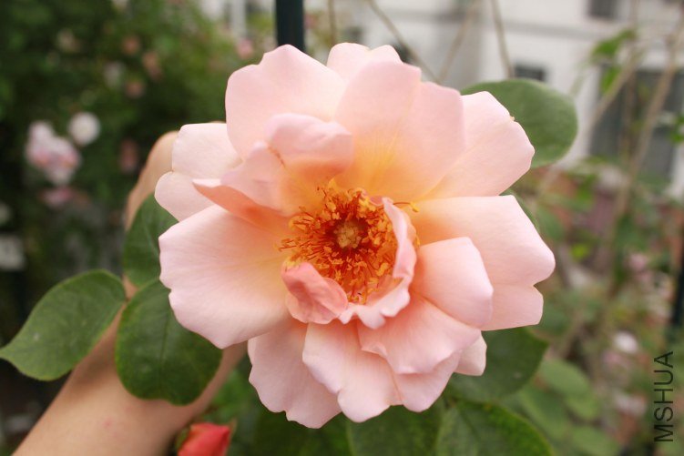 ���û����ԡ������Ǻܾ���