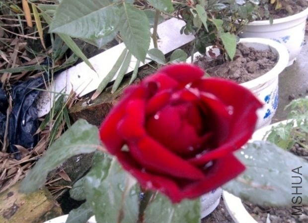 ��Ƭ0353 (640x480).jpg