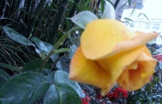 ��Ƭ0356 (640x480).jpg