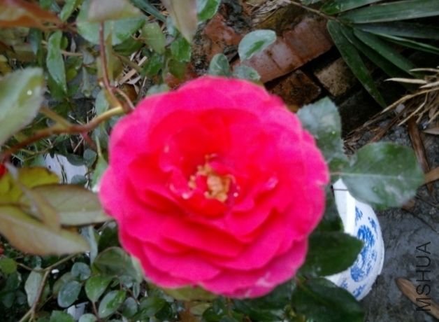 ��Ƭ0360 (640x480).jpg