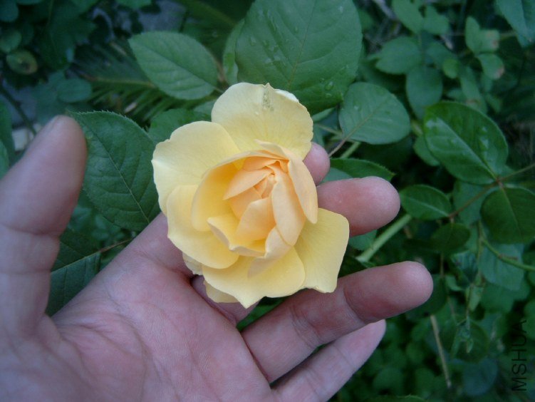 S4100001.JPG