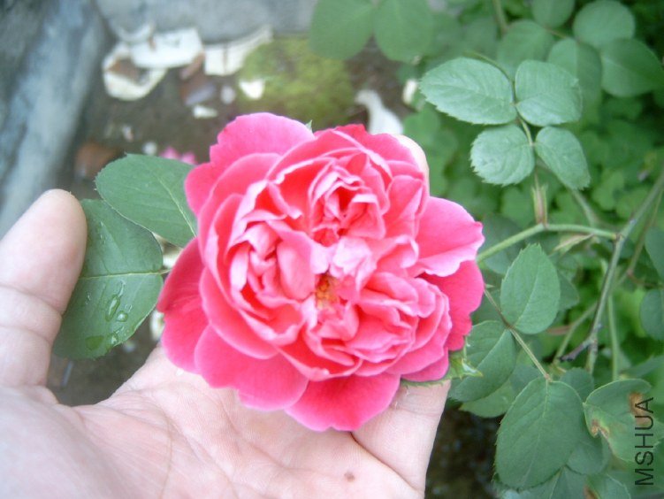 S4100002.JPG