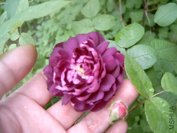 S4100003.JPG