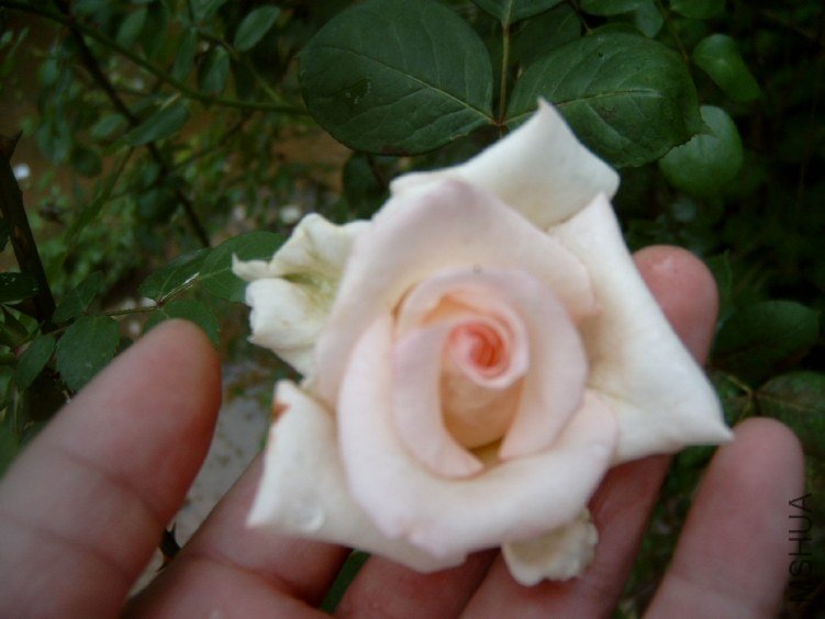 S4100005.JPG