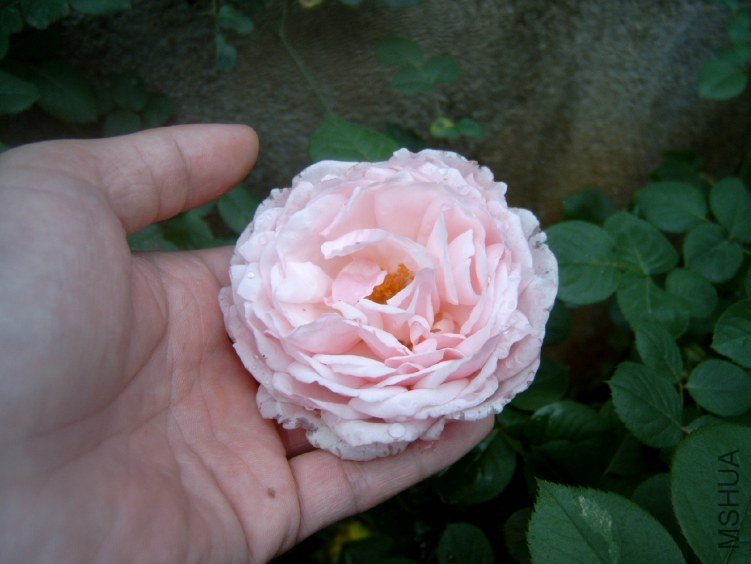 S4100009.JPG