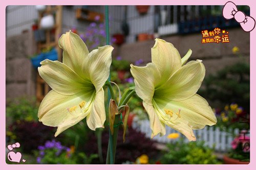 ��Ƭ 011_��������1.jpg