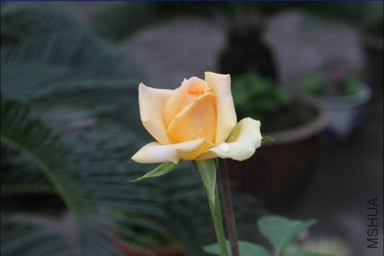 2012-05-01_141630.jpg