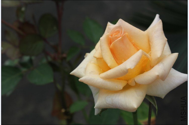 2012-05-01_141737.jpg