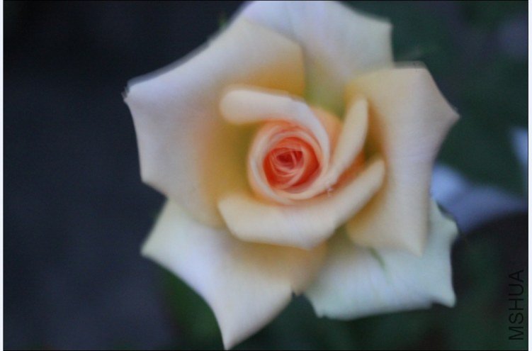2012-05-01_141757.jpg