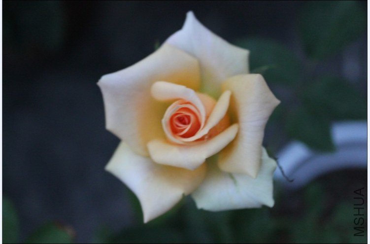 2012-05-01_141810.jpg