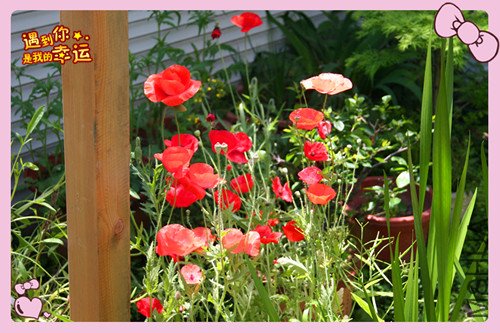 ��Ƭ 005_������1.jpg