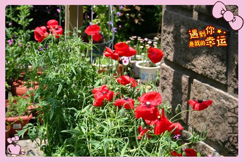 ��Ƭ 006_����2.jpg