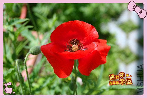 ��Ƭ 007_����3.jpg