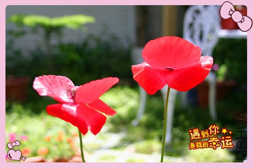 ��Ƭ 010_����6.jpg