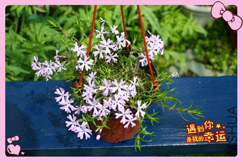 ��Ƭ 084_������1.jpg