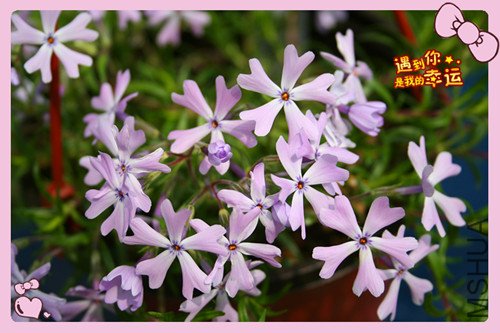 ��Ƭ 085_������2.jpg