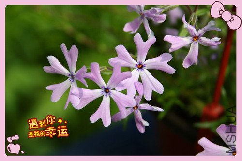 ��Ƭ 087_������3.jpg