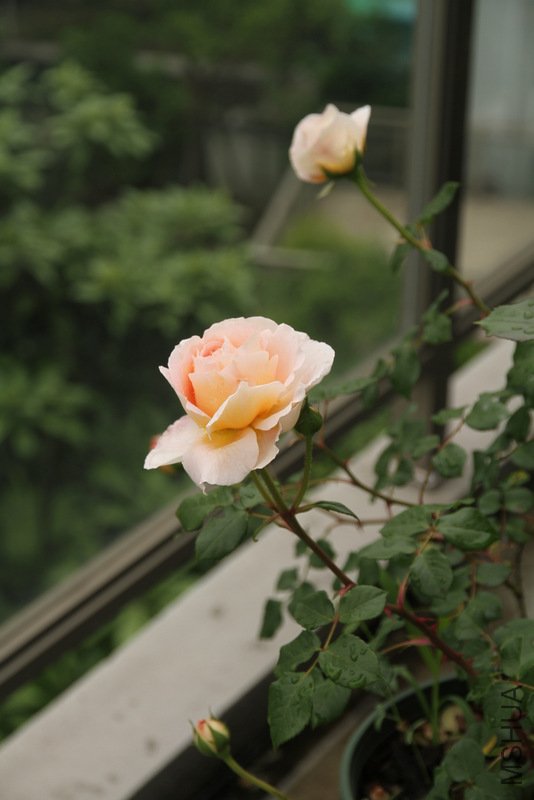 IMG_2614.JPG